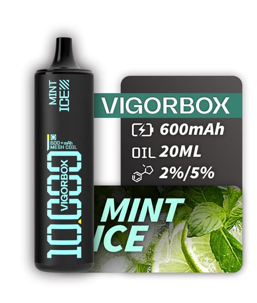 VIGORBOX 10000 PUFFS - Image 5