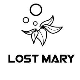 LOSTMRY
